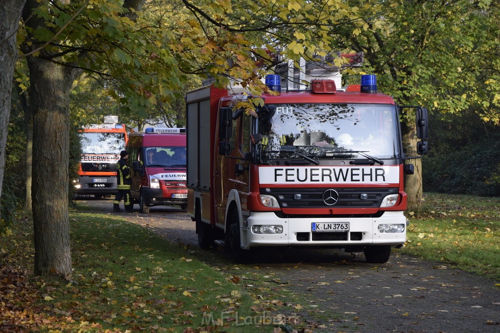 Feuer 1 brannten 3 Lauben Koeln Fuehlingen Kriegerhofstr P102.JPG - Miklos Laubert